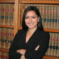 Legal Professional Amircani Law, LLC in Atlanta GA