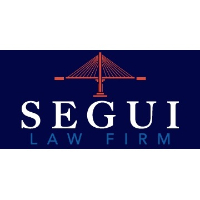 Legal Professional Segui Law Firm LLC in Mount Pleasant SC