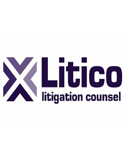 Legal Professional Litico Law Group in Rolling Meadows IL