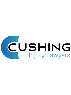 Legal Professional Cushing Law in Northfield IL