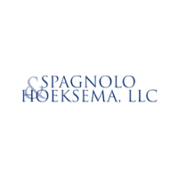 Legal Professional Spagnolo & Hoeksema, LLC in Saint John IN