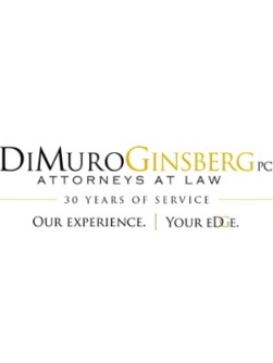 Legal Professional DiMuroGinsberg P.C. in Alexandria VA