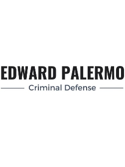 Legal Professional Edward Palermo Criminal and DWI Lawyer in Hauppauge NY