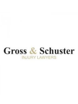 Legal Professional Gross & Schuster, P.A. in Mary Esther FL