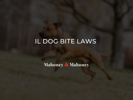 Illinois Dog Bite Laws